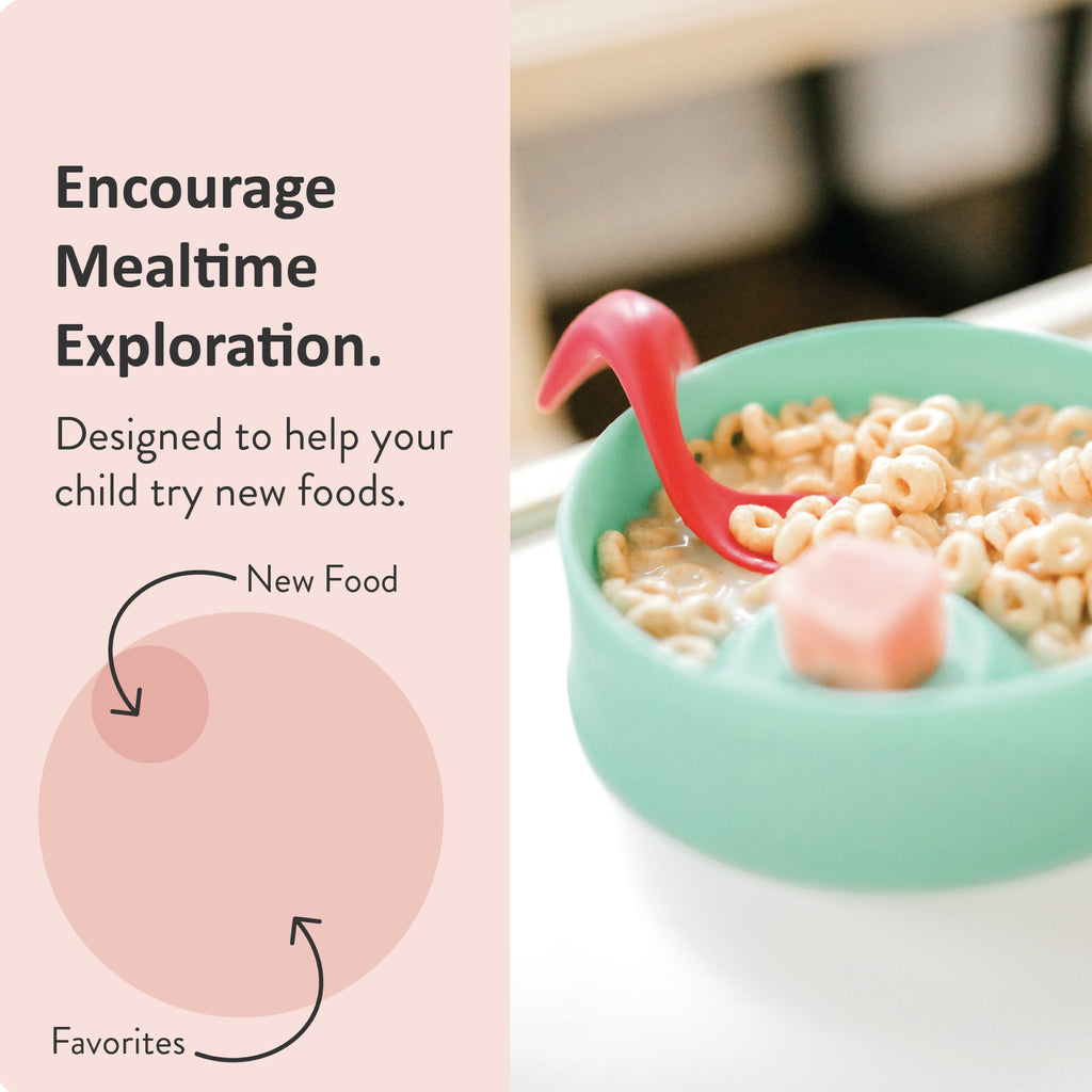 https://kizingokids.com/cdn/shop/products/Kizingo-divided-baby-tasting-bowl-for-trying-new-foods_1024x1024.jpg?v=1606249406