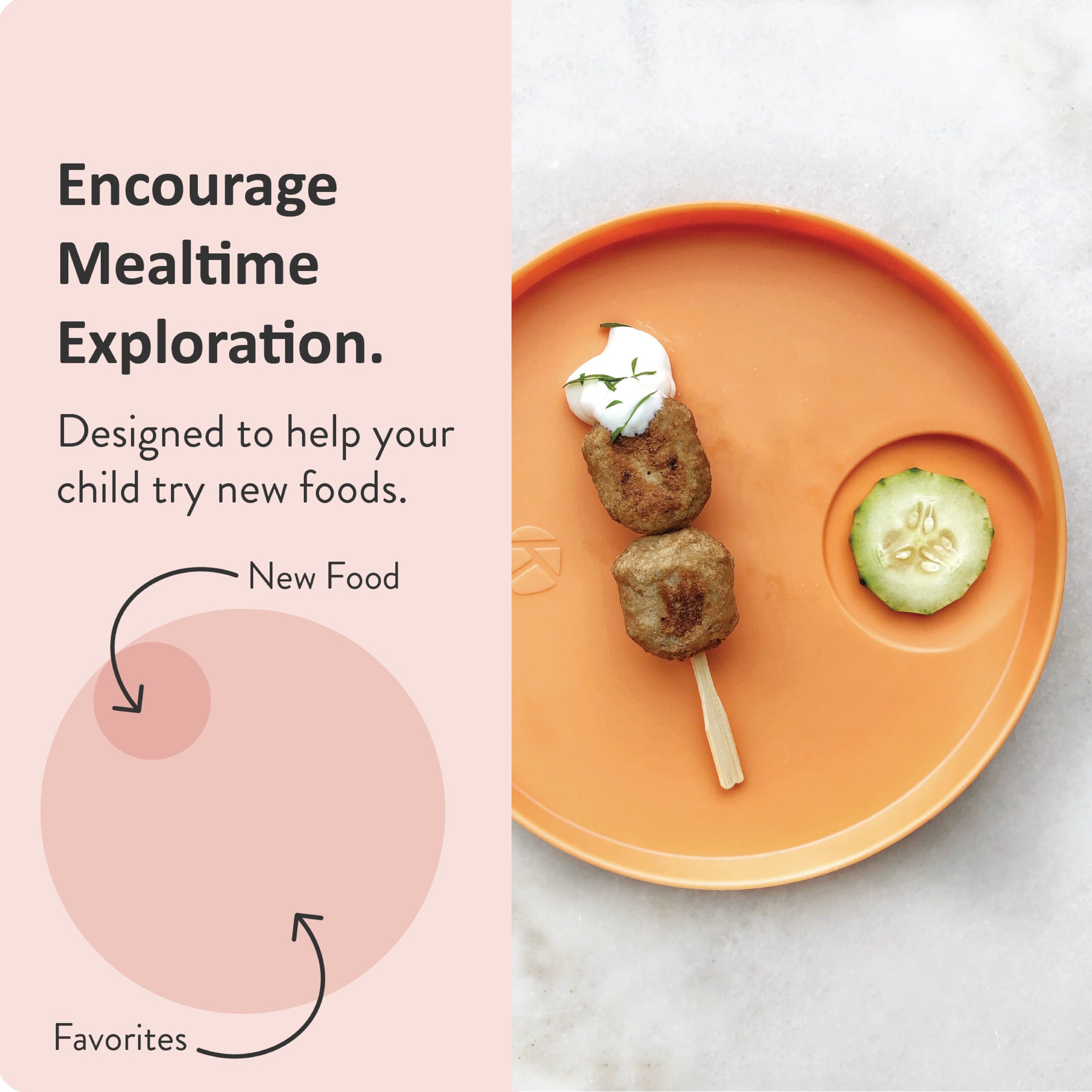https://kizingokids.com/cdn/shop/products/Kizingo-toddler-divided-tasting-platesp-for-trying-new-foods.jpg?v=1642130113
